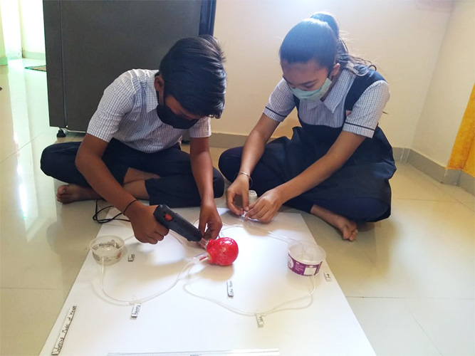 'Working Heart Model' made by students at STEM exhibition, Raja Rammohan Roy Primary School, Vadodara